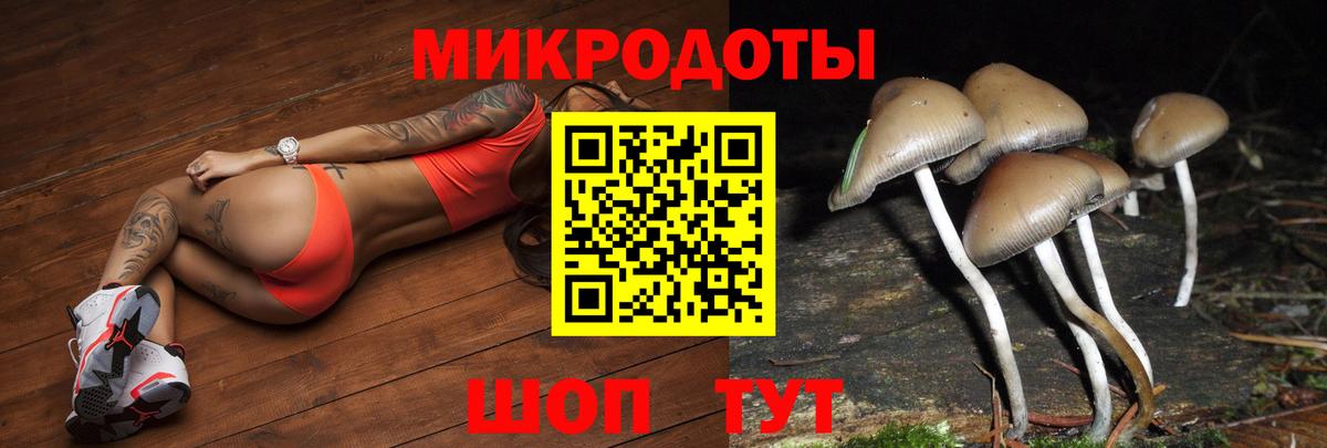 Псилоцибиновые грибы ЛСД Тимашёвск